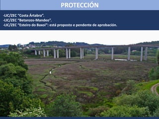 PROTECCIÓN
-LIC/ZEC “Costa Ártabra”.
-LIC/ZEC “Betanzos-Mandeo”.
-LIC/ZEC “Esteiro do Baxoi”: está proposto e pendente de aprobación.
 