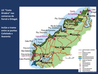 Inclúe o tramo
entre as puntas
Coitelada e
Avarenta
LIC “Costa
Ártabra” nas
comarcas de
Ferrol e Ortegal.
 
