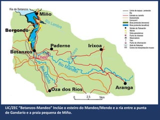 LIC/ZEC “Betanzos-Mandeo” Inclúe o esteiro do Mandeo/Mendo e a ría entre a punta
de Gandarío e a praia pequena de Miño.
Bergondo
 