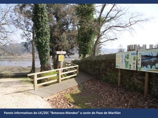 Paneis informativos do LIC/ZEC “Betanzos-Mandeo” a carón do Pazo de Mariñán
 