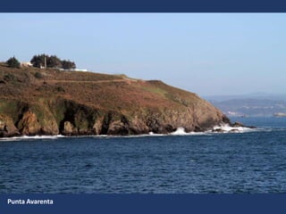Punta Avarenta
 