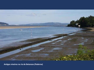 Antigos viveiros na ría de Betanzos (Paderne)
 