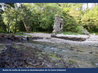Restos do muíño de marea na desembocadura do río Castro (Cabanas)
 