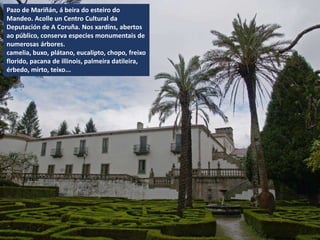Pazo de Mariñán, á beira do esteiro do
Mandeo. Acolle un Centro Cultural da
Deputación de A Coruña. Nos xardíns, abertos
ao público, conserva especies monumentais de
numerosas árbores.
camelia, buxo, plátano, eucalipto, chopo, freixo
florido, pacana de illinois, palmeira datileira,
érbedo, mirto, teixo...
 