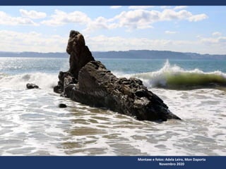 Montaxe e fotos: Adela Leiro, Mon Daporta
Novembro 2020
 