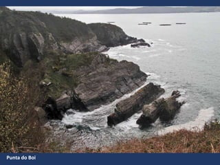 Punta do Boi
 
