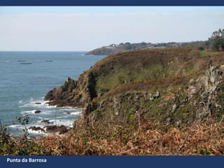 Punta da Barrosa
 
