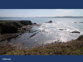 A Barrosa
 