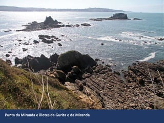Punta da Miranda e illotes da Gurita e da Miranda
 