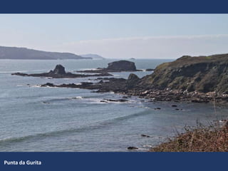 Punta da Gurita
 