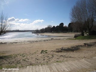 Praia da Ciscada
 