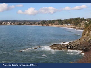 Praias de Seselle (A Campa e O Raso)
 