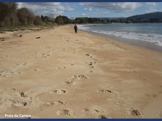 Praia da Campa
 