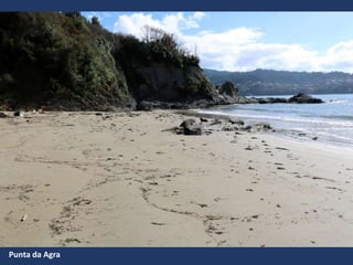 Punta da Agra
 