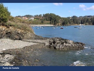Punta do Castelo
 