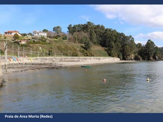 Praia de Area Morta (Redes)
 
