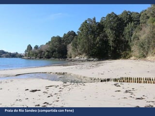Praia do Río Sandeo (compartida con Fene)
 