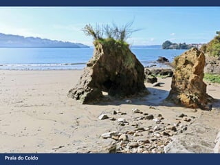 Praia do Coído
 