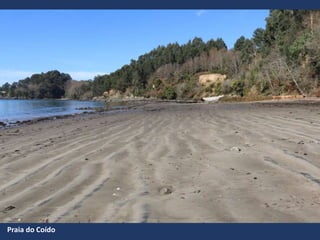 Praia do Coído
 
