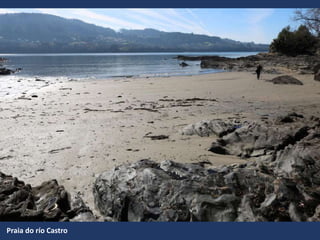 Praia do río Castro
 