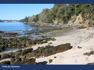 Praia de Chamoso
 