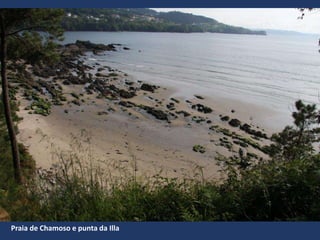 Praia de Chamoso e punta da Illa
 