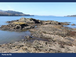 Punta da Illa
 