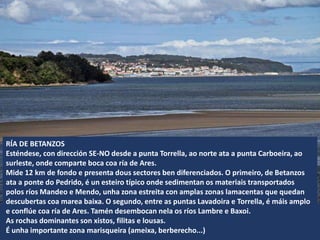 RÍA DE BETANZOS
Esténdese, con dirección SE-NO desde a punta Torrella, ao norte ata a punta Carboeira, ao
surleste, onde comparte boca coa ría de Ares.
Mide 12 km de fondo e presenta dous sectores ben diferenciados. O primeiro, de Betanzos
ata a ponte do Pedrido, é un esteiro típico onde sedimentan os materiais transportados
polos ríos Mandeo e Mendo, unha zona estreita con amplas zonas lamacentas que quedan
descubertas coa marea baixa. O segundo, entre as puntas Lavadoira e Torrella, é máis amplo
e conflúe coa ría de Ares. Tamén desembocan nela os ríos Lambre e Baxoi.
As rochas dominantes son xistos, filitas e lousas.
É unha importante zona marisqueira (ameixa, berberecho...)
 
