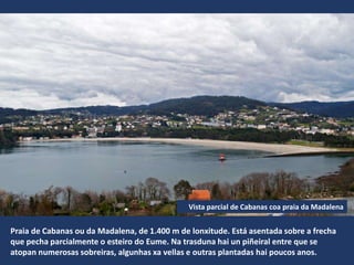 Praia de Cabanas ou da Madalena, de 1.400 m de lonxitude. Está asentada sobre a frecha
que pecha parcialmente o esteiro do Eume. Na trasduna hai un piñeiral entre que se
atopan numerosas sobreiras, algunhas xa vellas e outras plantadas hai poucos anos.
Vista parcial de Cabanas coa praia da Madalena
 