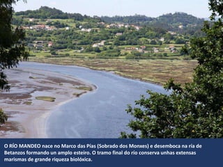 O RÍO MANDEO nace no Marco das Pías (Sobrado dos Monxes) e desemboca na ría de
Betanzos formando un amplo esteiro. O tramo final do río conserva unhas extensas
marismas de grande riqueza biolóxica.
 