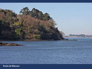 Punta da Macuca
 