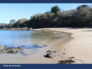 Praia de Centroña
 
