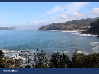 Punta Cabritas
 