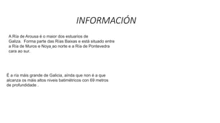 INFORMACIÓN
A Ría de Arousa é o maior dos estuarios de
Galiza. Forma parte das Rías Baixas e está situado entre
a Ría de Muros e Noya ao norte e a Ría de Pontevedra
cara ao sur.
É a ría máis grande de Galicia, aínda que non é a que
alcanza os máis altos niveis batimétricos con 69 metros
de profundidade .
 