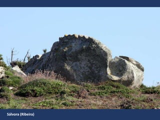 Sálvora (Ribeira)
 