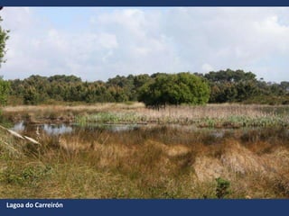 Lagoa do Carreirón
 