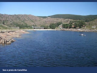 Seo e praia de Caneliñas
 