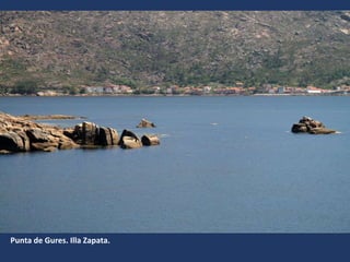 Punta de Gures. Illa Zapata.
 