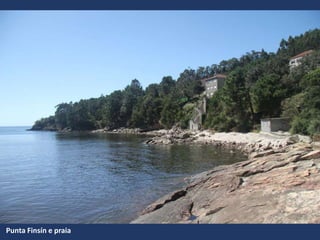 Punta Finsín e praia
 
