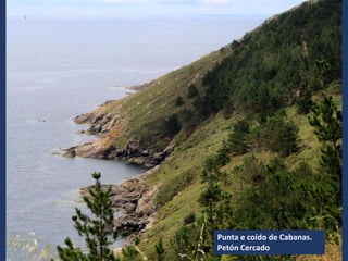 Punta e coído de Cabanas.
Petón Cercado
 