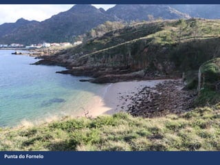 Punta do Fornelo
 
