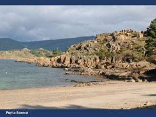 Punta Boxeco
 