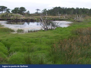 Lagoa na punta de Quilmas
 