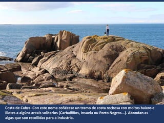 Costa de Cabra. Con este nome coñécese un tramo de costa rochosa con moitos baixos e
illotes a algúns areais solitarios (Carballiños, Insuela ou Porto Negros...). Abondan as
algas que son recollidas para a industria.
 
