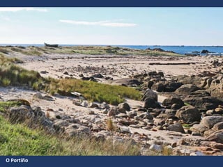 O Portiño
 