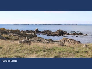 Punta da Lomba
 
