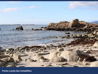 Punta e praia dos Carballiños
 