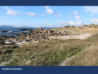 Portiño de Panchés
 