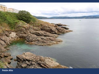 Petón Alto
 