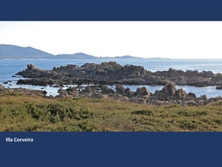 Illa Corveira
 